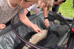 534140037_1502901141113985_869252286295438635_n