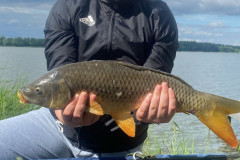 534368374_1502901904447242_7673931661934896939_n